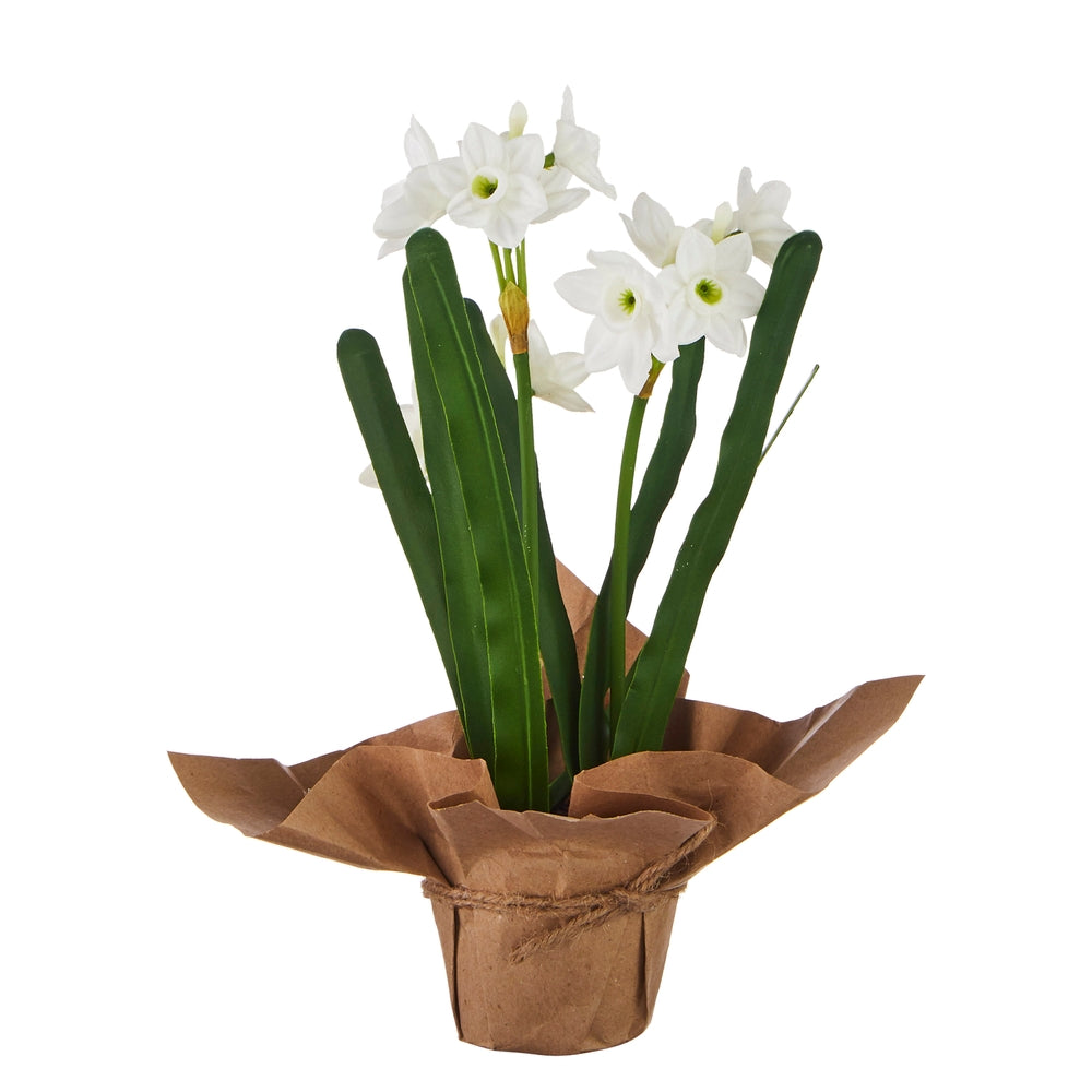 *SB* 10.75" Real Touch Potted Paperwhites
